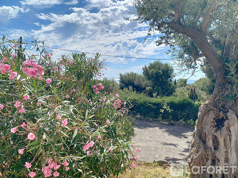  vendre  Maison Roquebrune-Cap-Martin (06190)