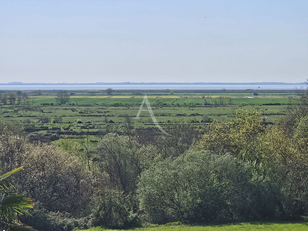 à vendre  Maison Mortagne-sur-Gironde (17120)