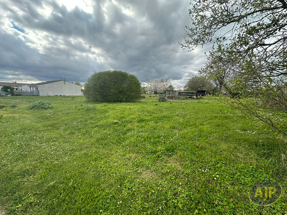 Vente Terrain Terrain Saint Seurin De Palenne 779 m2 Saint seurin de palenne