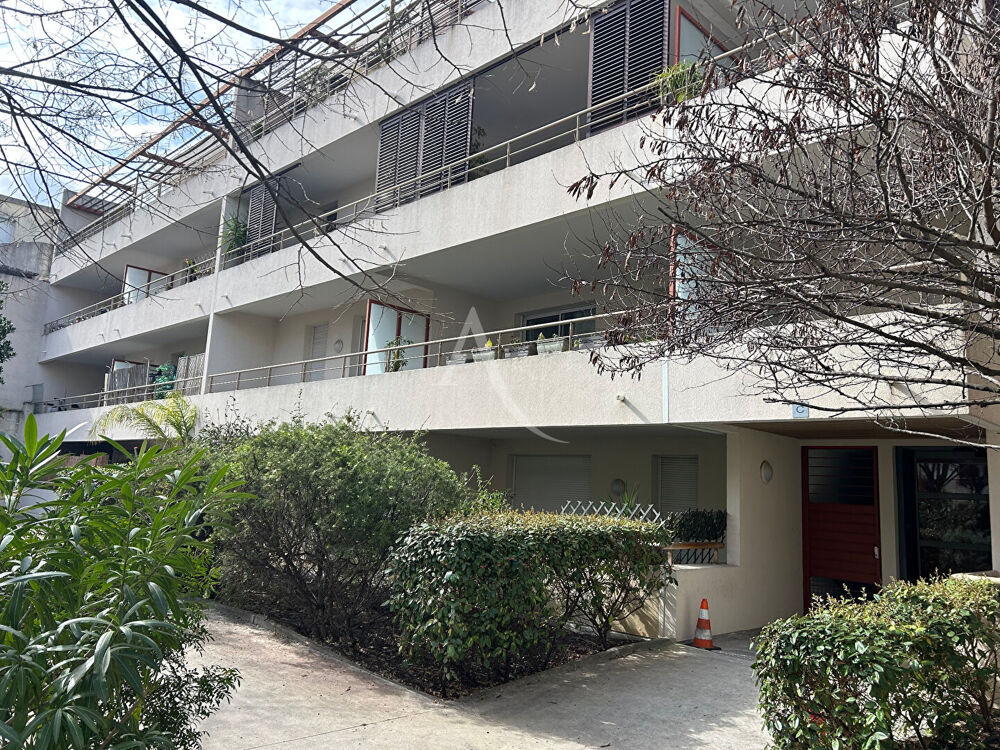 Appartement Montpellier T1 BIS 33 m2, terrasse 10M2 jardin 47m2,