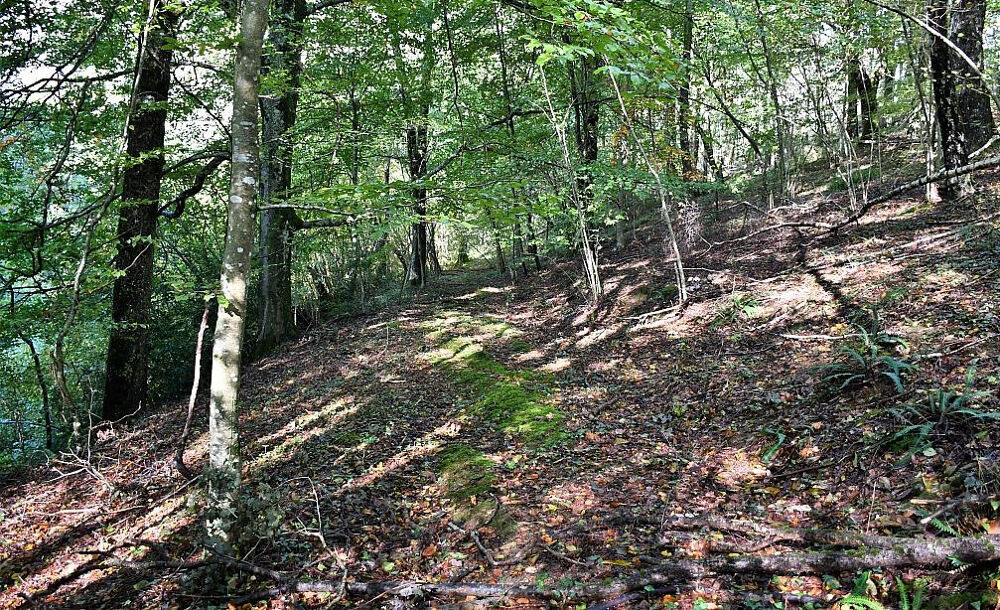 Vente Terrain SAINT JEAN LES DEUX JUMEAUX Saint jean les deux jumeaux