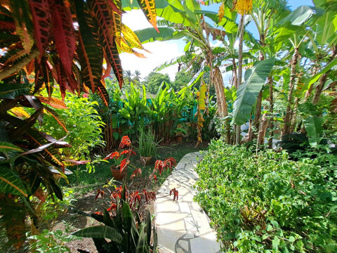  Appartement � louer 1 pi�ce 20 m�