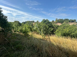  Terrain à vendre 