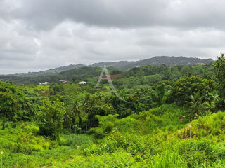  Terrain � vendre 701 m�