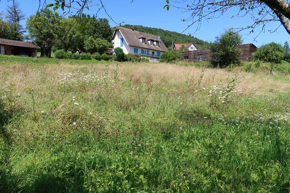 Vente Terrain terrain constructible viabilisé Rurey