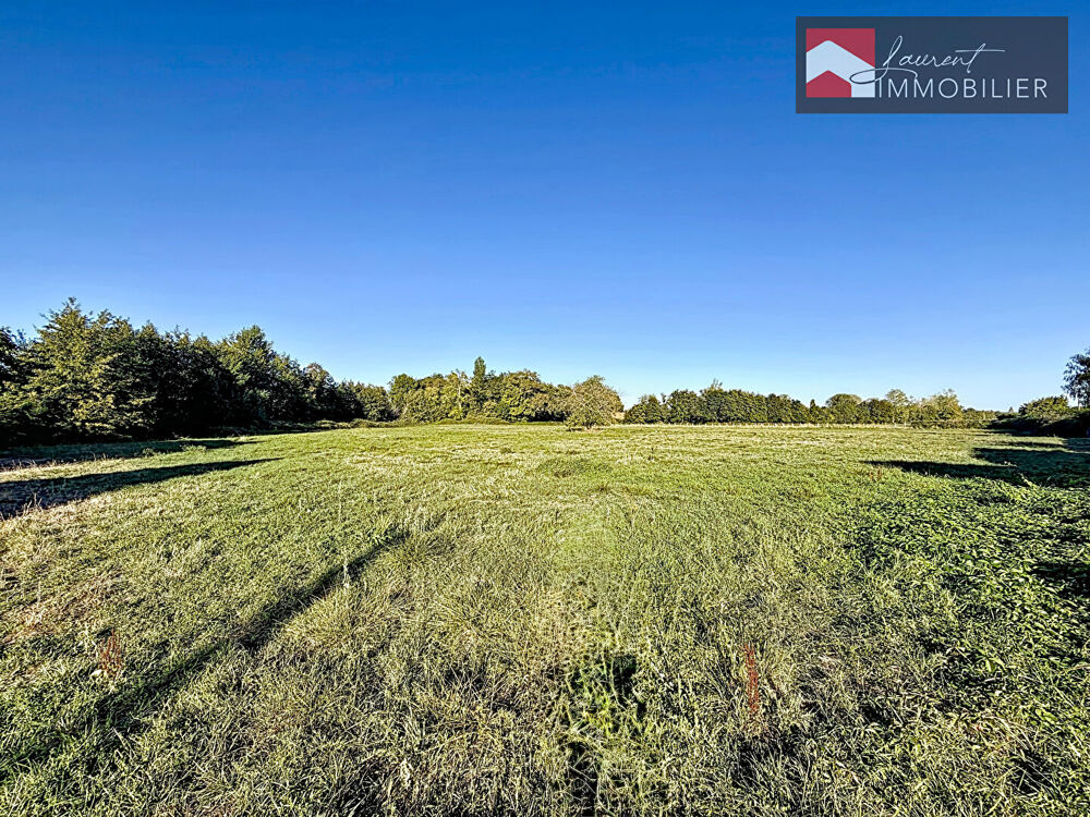 Vente Terrain Opportunité Rare à Montbellet : Vaste terrain de grande superficie Montbellet