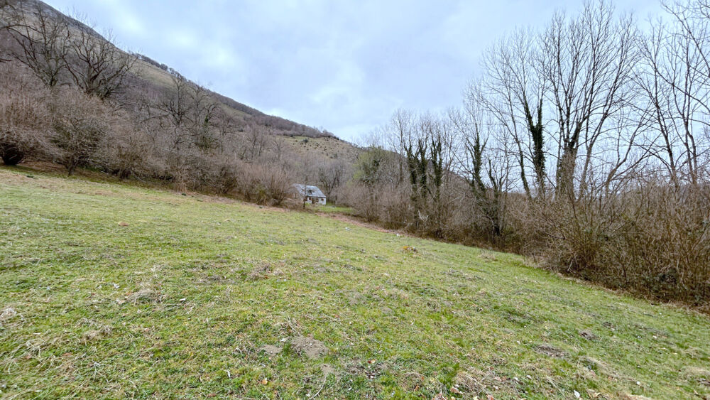 Vente Maison A VENDRE ANCIENNE GRANGE DE 120 M2 SUR 15000 M2 DE TERRAIN - SECTEUR SALLES - ARGELES GAZOST Argeles gazost
