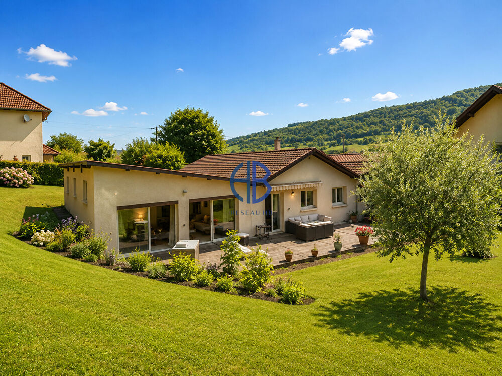 Maison Saint Geoire En Valdaine 7 pièce(s) 210 m2