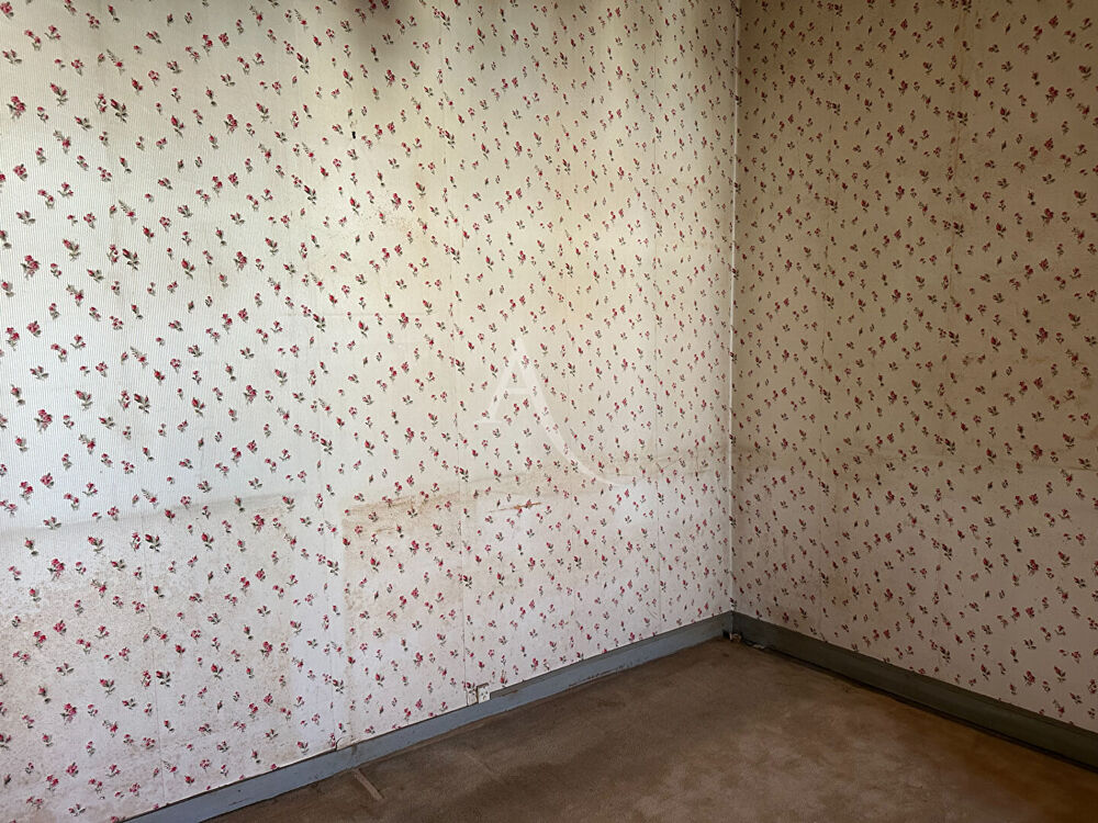 Appartement/Plateau à rénover 1er étage sur Rue
