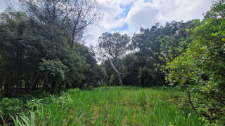  Terrain  vendre 2516 m