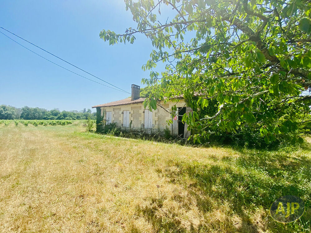 Vente Maison Ruine avec 1ha de terrain au milieu des vignes ! Couqueques