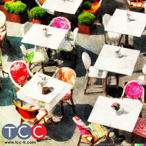 Murs et Fonds de commerce Restaurant Lounge Charente 300 m2 435375 16000 Angouleme