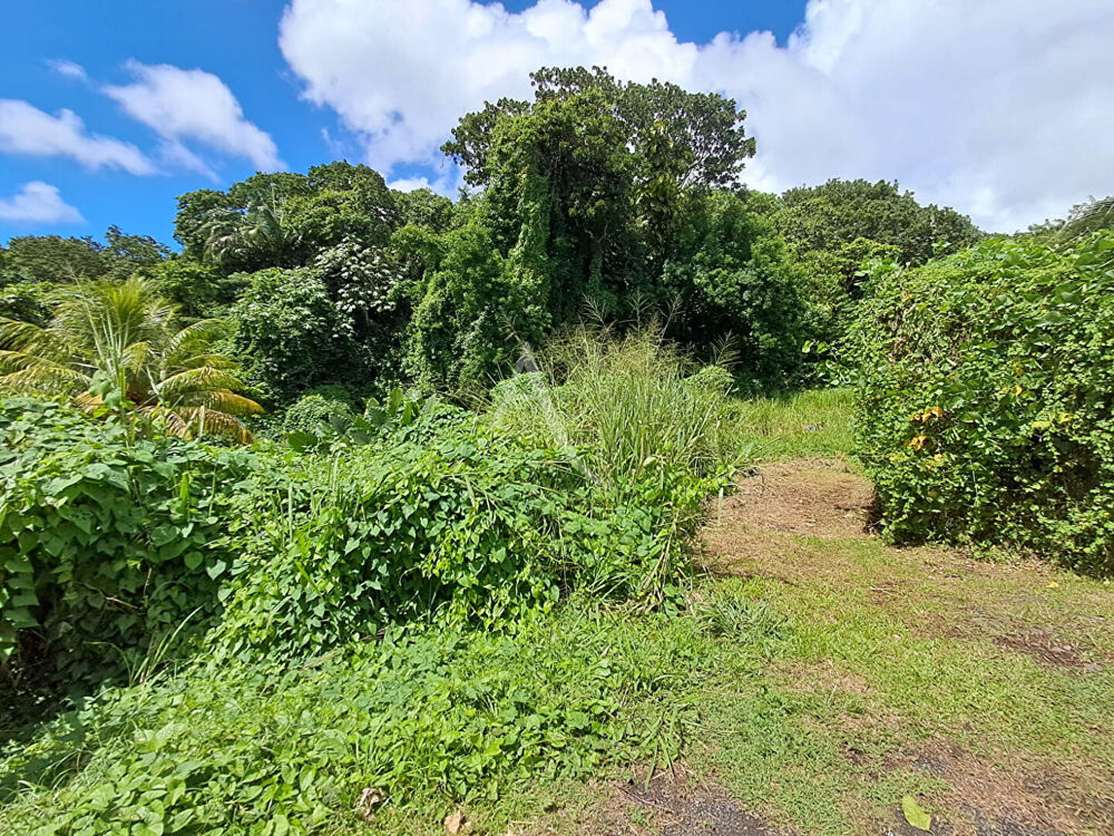 Vente Terrain MAGNIFIQUE TERRAIN PLAT CONSTRUCTIBLE  SUR RAVINE VILAINE Fort de france
