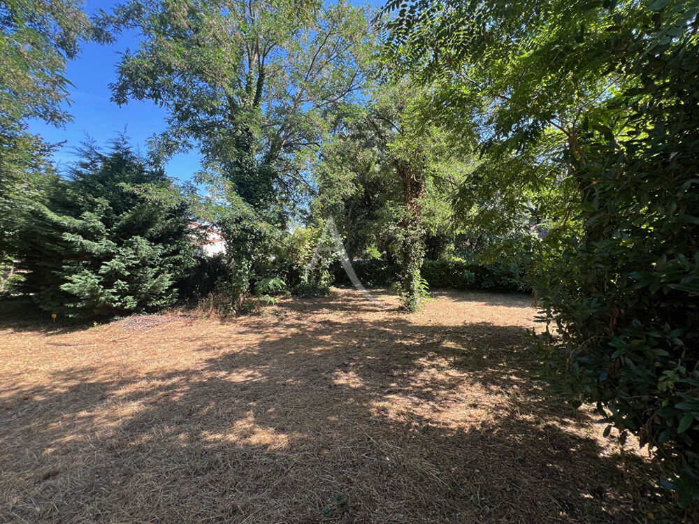 Vente Terrain Terrain Sous les Pins Longeville Sur Mer 493 m2 Longeville sur mer
