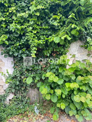  Terrain � vendre 280 m�