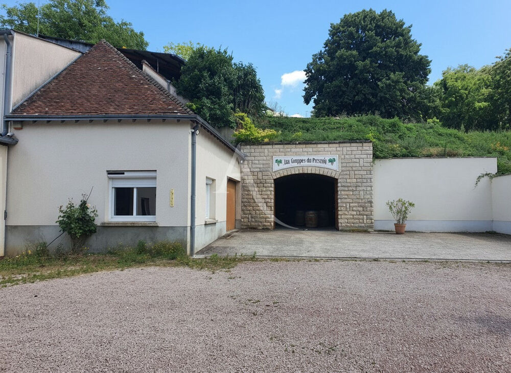 Ensemble immobilier de caractère à Seigy proche Zoo de Beauval