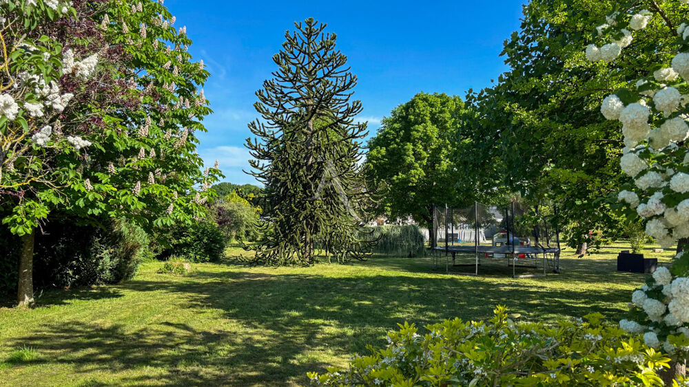 Vente Terrain Terrain constructible Camp�n�ac 2020 m2 Campeneac