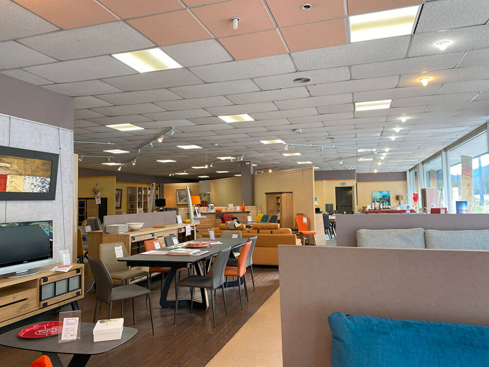   LOCAL PROFESSIONNEL ET COMMERCIAL 1056 m2 Chancia