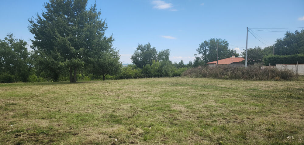 Vente Maison Ensemble immobilier avec potentiel de division parcellaire ou de construction supplémentaire sur près de 4 000 m² Maison de 51m² Moissac