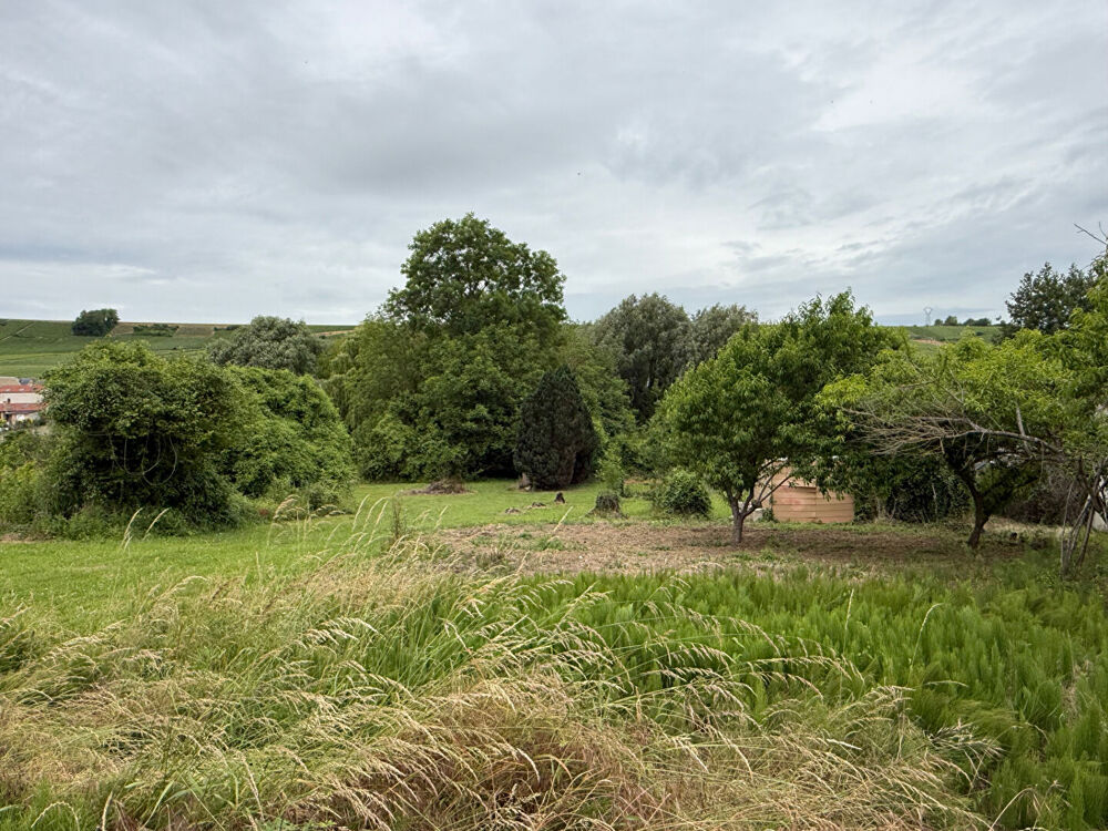 Vente Terrain Terrain à bâtir proche Jonchery Sur Vesle - vue sur la vallée / vignoble - 2532 m2 Jonchery sur vesle