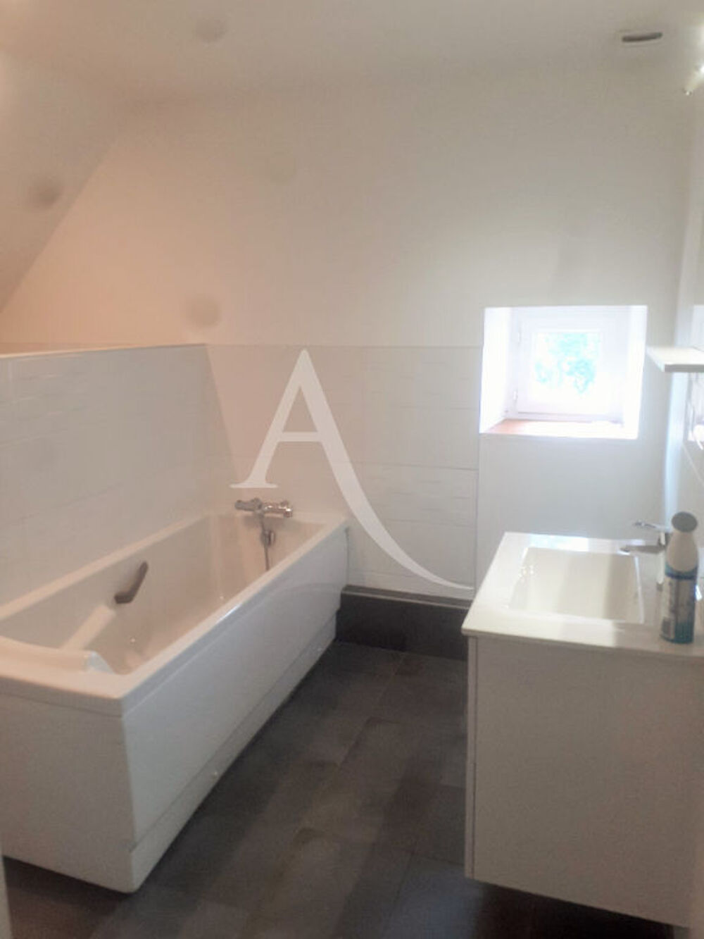 Location Appartement APPT T4 - ST DYE SUR LOIRE St dye sur loire