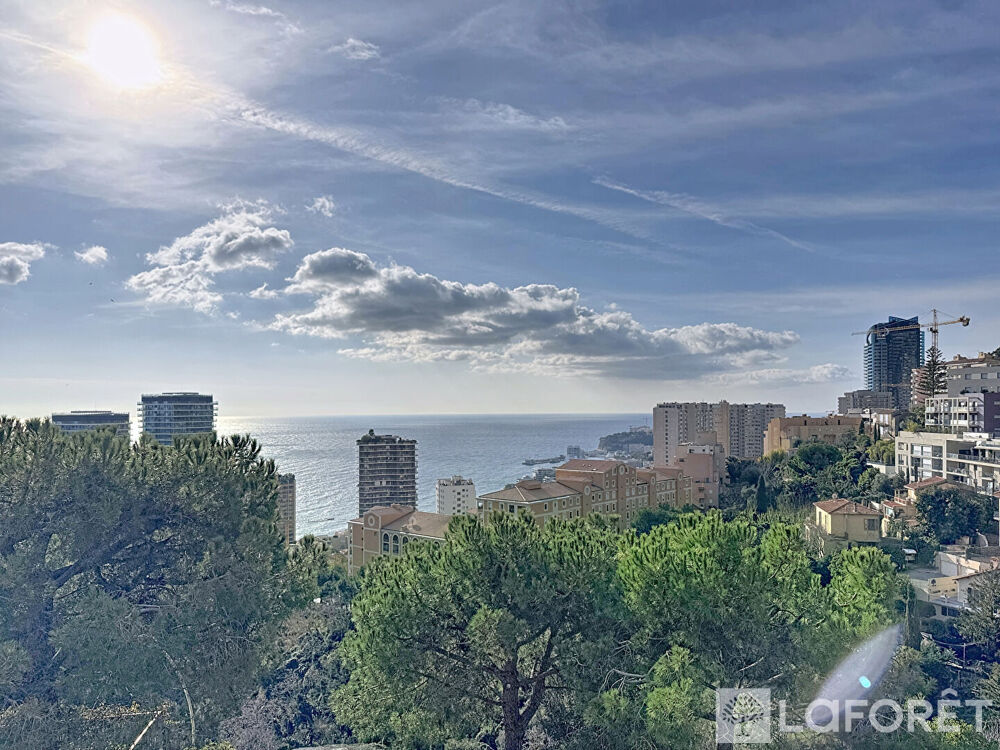à vendre  Appartement Roquebrune-Cap-Martin (06190)