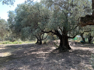  Terrain � vendre 2945 m�