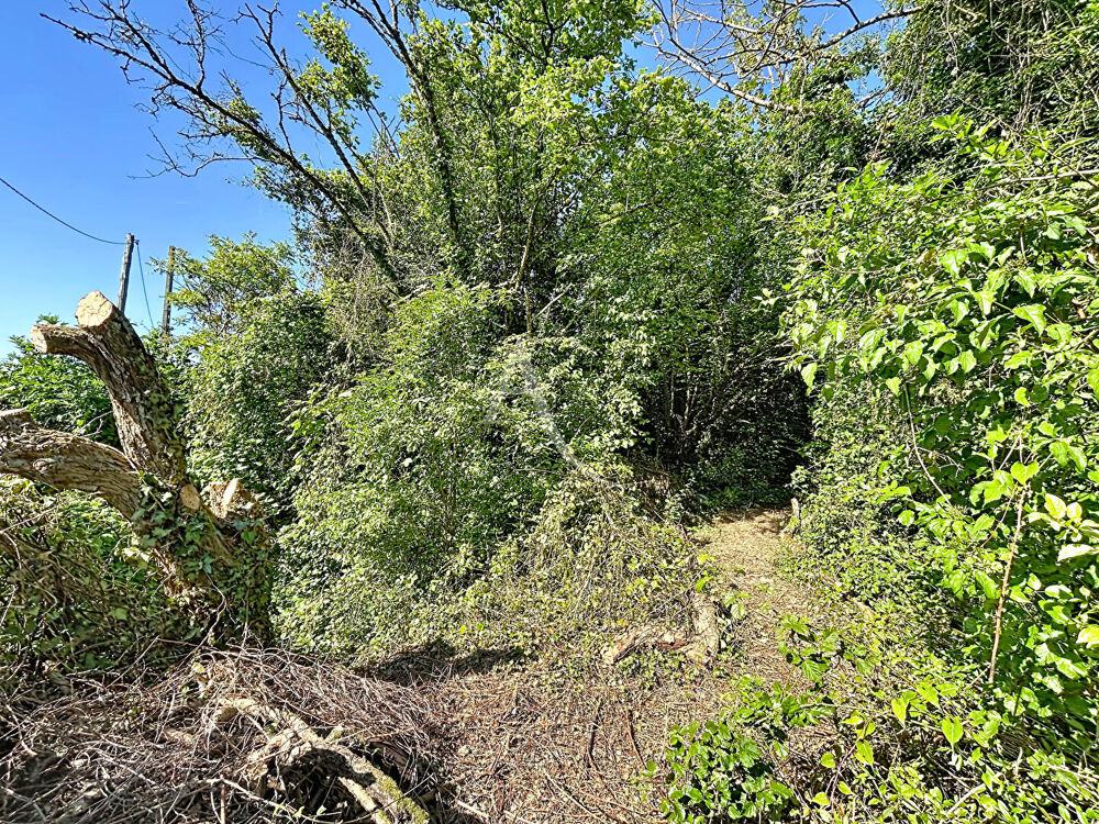 Vente Terrain Terrain Rubelles 768 m2 Rubelles