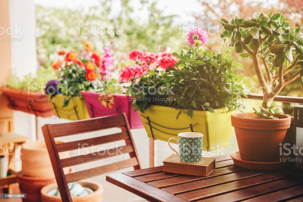 T2 compact avec loggia proche tram