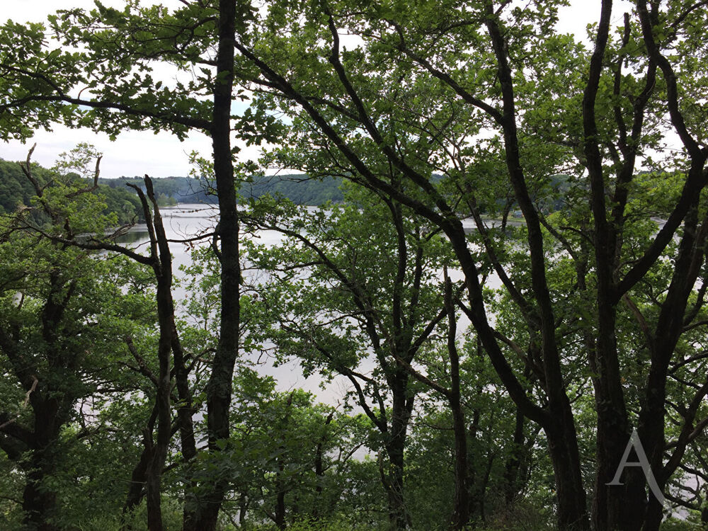 Vente Terrain Terrain avec vue sur Lac d'Eguzon Cuzion