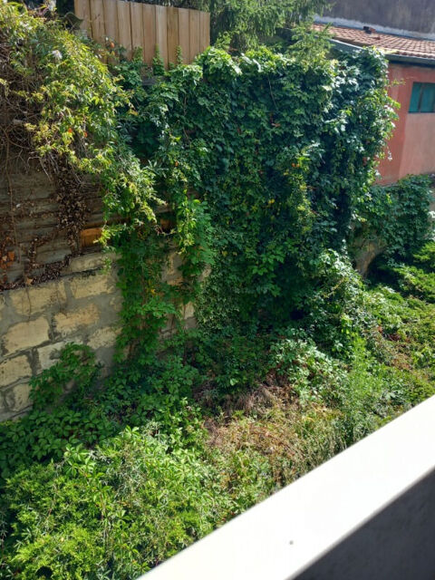  Appartement  louer 1 pice 17 m