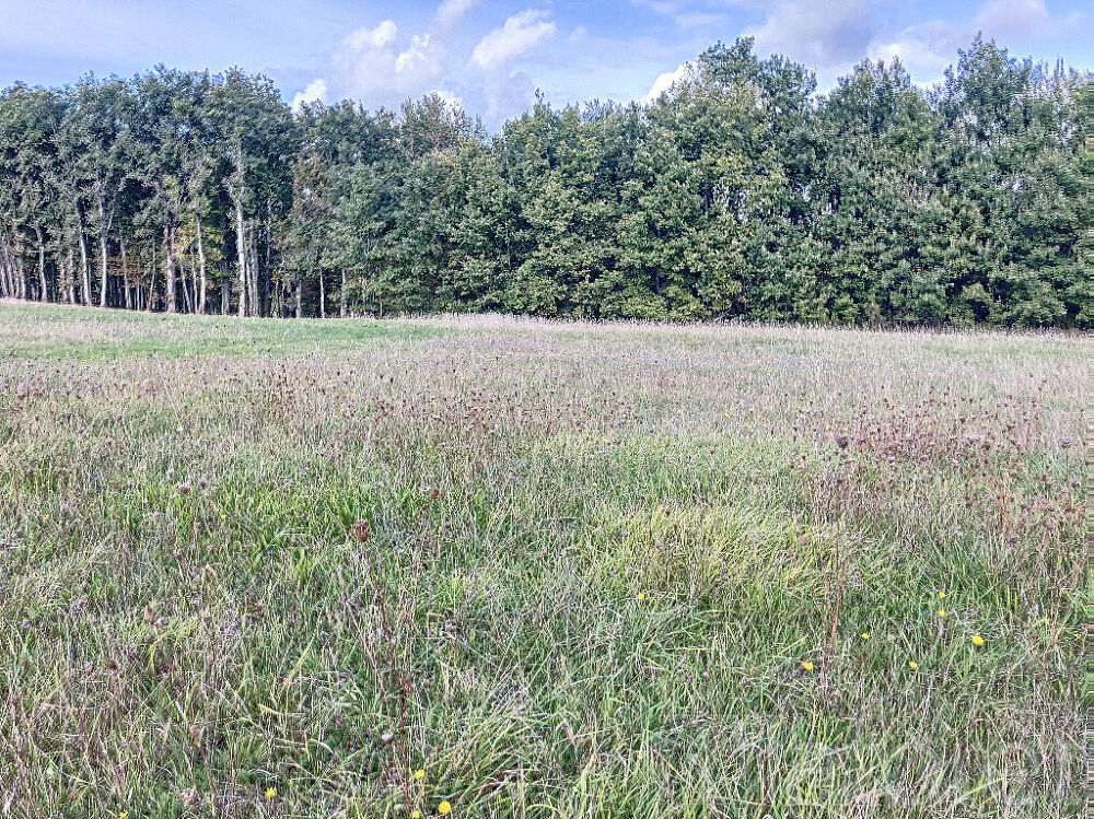 Vente Terrain Terrain secteur Monclar de QUercy de 800 m2 environ ! Monclar de quercy
