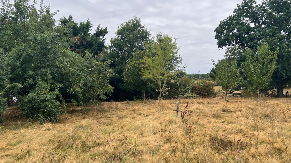 Vente Maison Maison Ste Foy De Peyrolieres 5 pièce(s) 112 m2 Ste foy de peyrolieres