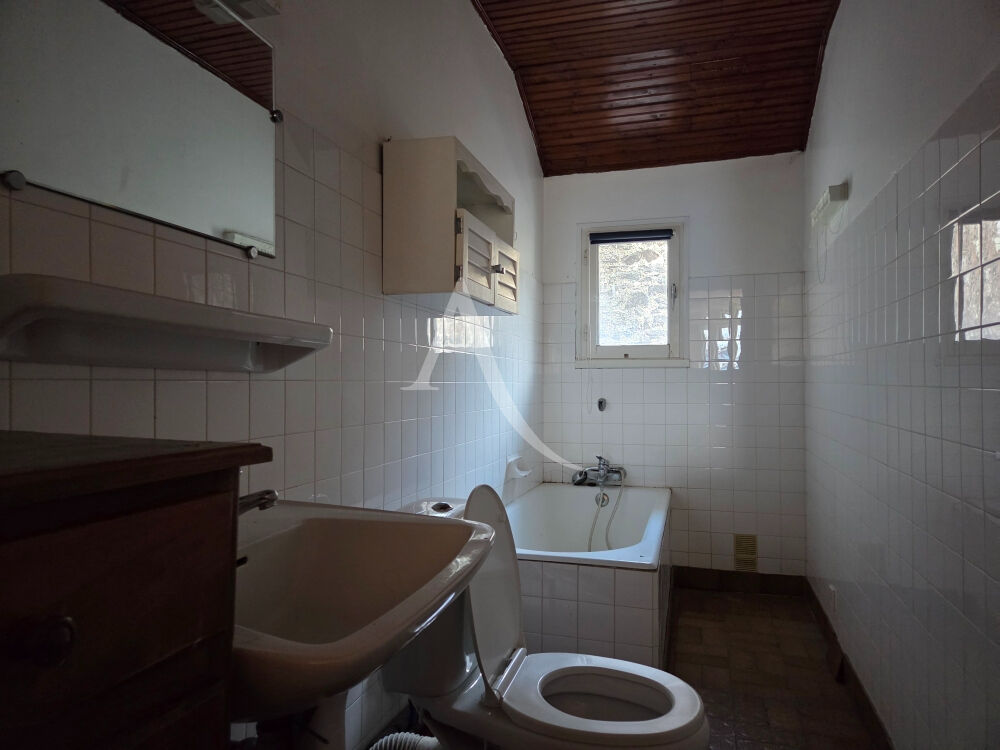 Vente Immeuble Immeuble à usage mixte de 115m² Bains sur oust