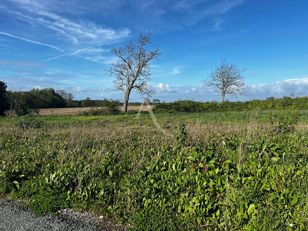 Vente Terrain Terrain Loire Les Marais 563 m2 Loire les marais