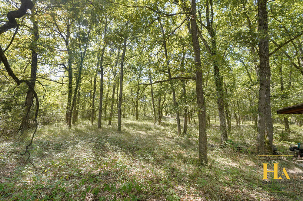 Vente Maison RARE Maison au milieu d'un bois, Cépet 102 m2, T5, 4200 m2 de terrain arboré Cepet