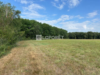  Terrain � vendre 45574 m�