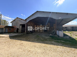  Maison 3 pi�ces 105 m� Ceffonds