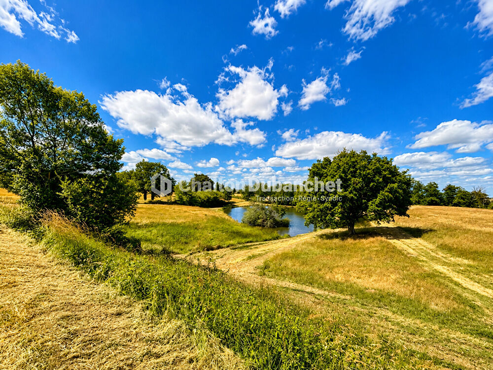 Vente Maison MONTAIGUET EN FOREZ - Maison de 330 m² sur  35000 m² de terrain et deux étangs Montaiguet en forez