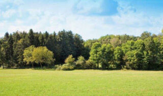  Terrain � vendre 567 m�