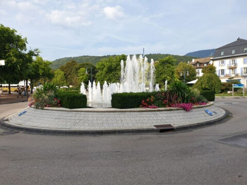 Fonds de commerce - Centre Ville de Divonne Les Bains 60000 01220 Divonne les bains