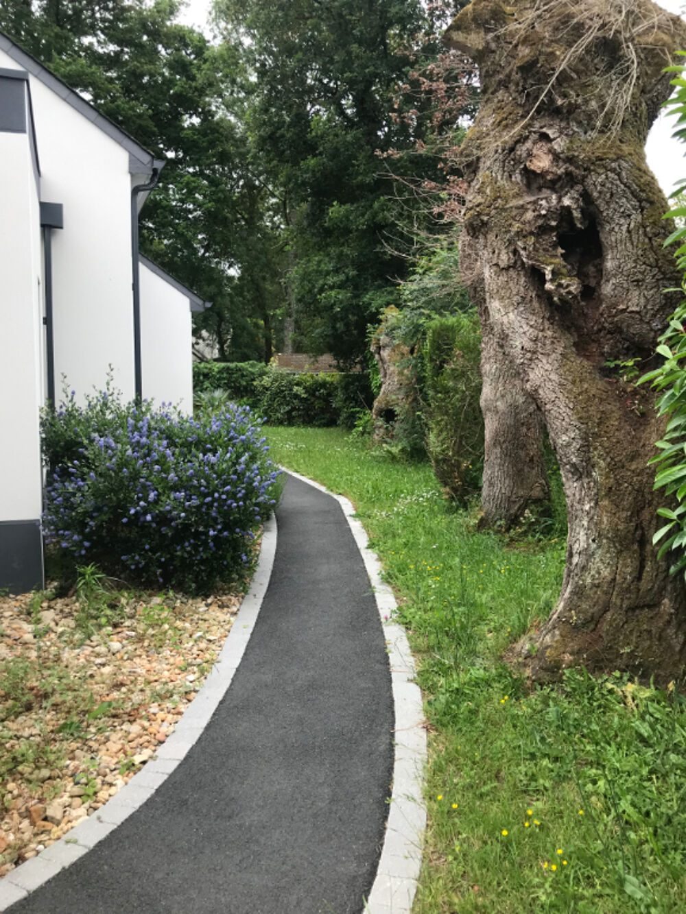 Location Maison A LOUER - Maison 5pièces - SUCE SUR ERDRE Suce sur erdre
