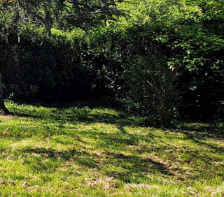  Terrain à vendre 3000 m²