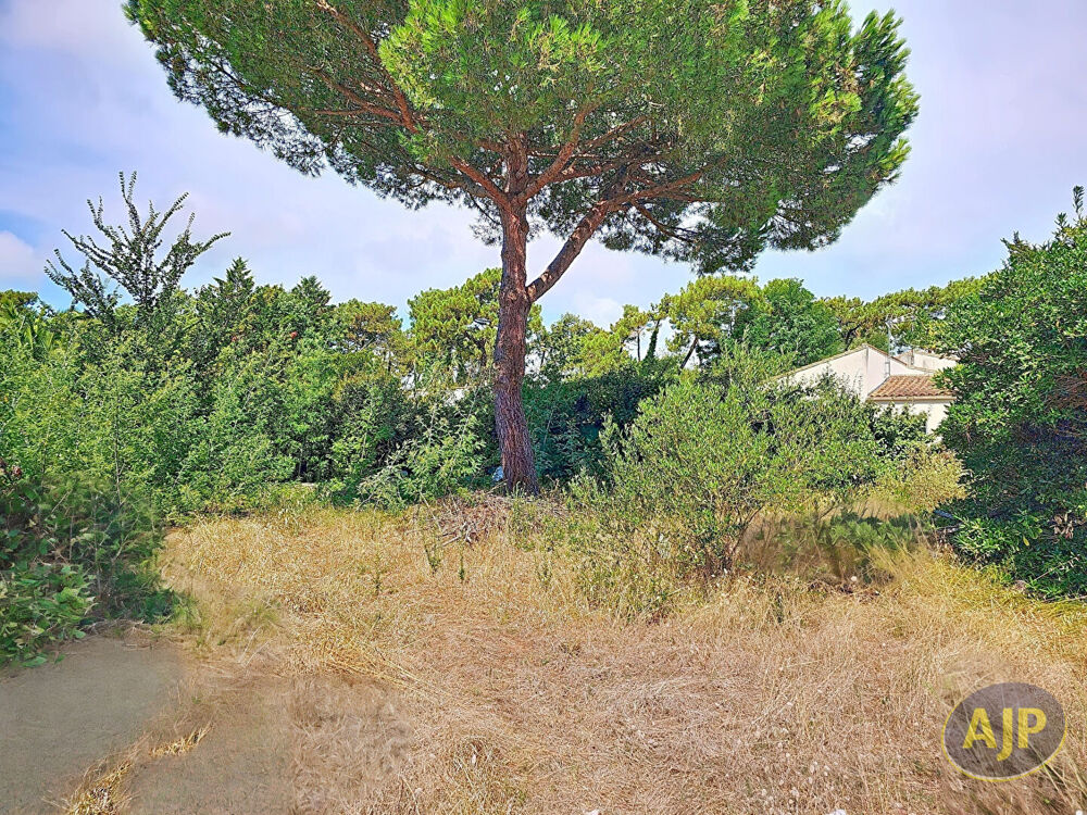 Maison Rivedoux Plage Ile de Ré