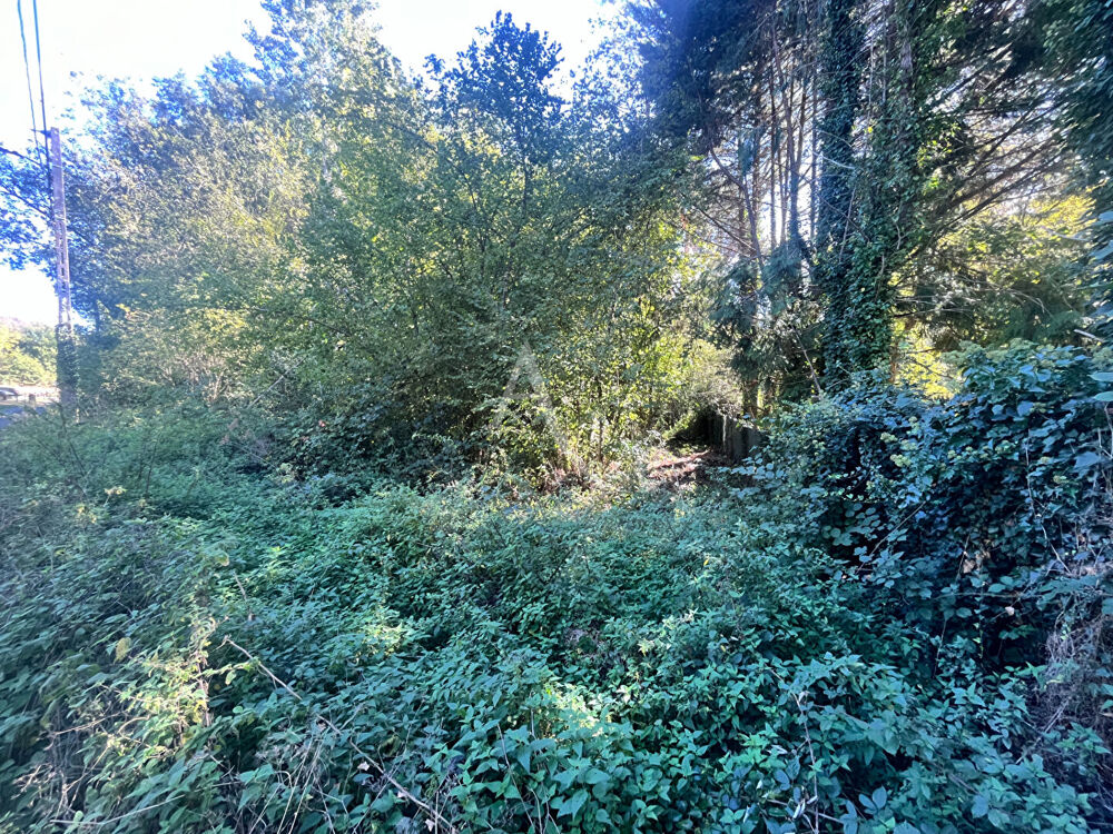 Vente Terrain SAINT MARTIN DE BRETHENCOURT - TERRAIN A BATIR Dourdan