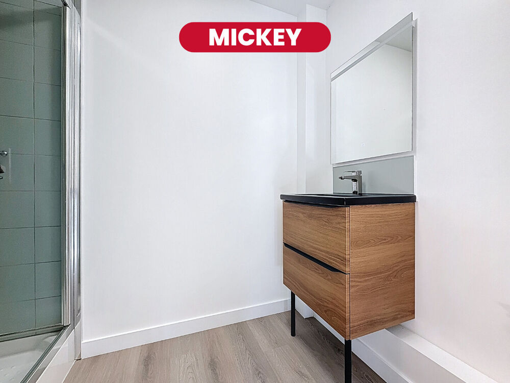 MICKEY - studio - 22 m2 - Saint Maurice Pellevoisin