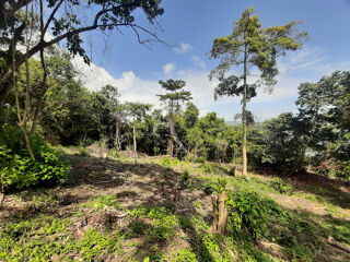  Terrain � vendre 2634 m�