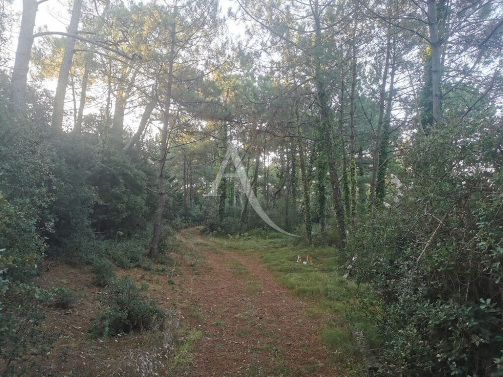 Vente Terrain Terrain Saint Jean De Monts Saint jean de monts