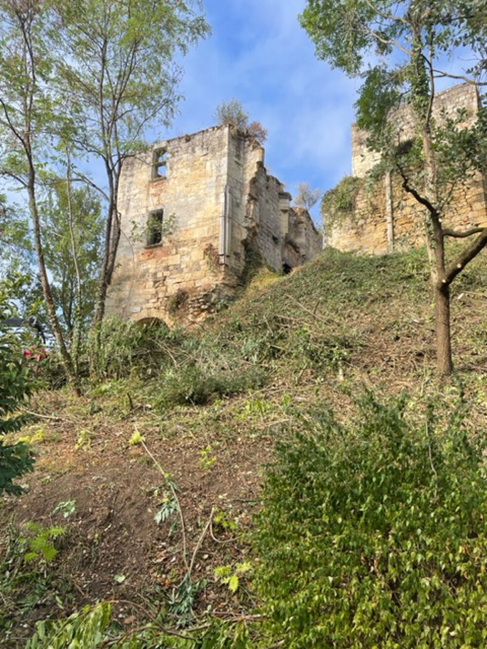 A vendre à Clermont Dessous château médiéval ISMH