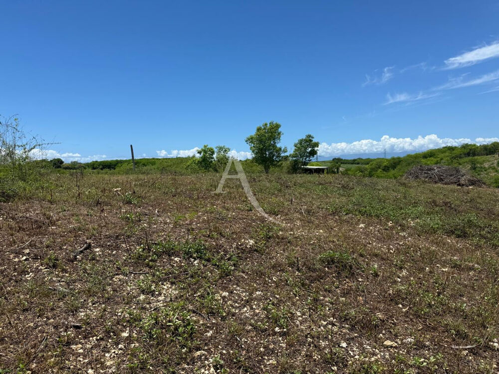Vente Terrain 741 m² - Vue 2